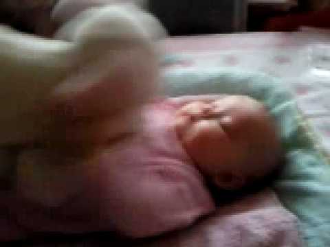 Nouvel ami