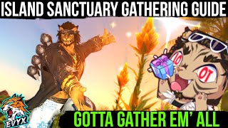 Island Sanctuary - WHERE TO GATHER ALL THE ITEMS [FFXIV 6.2]