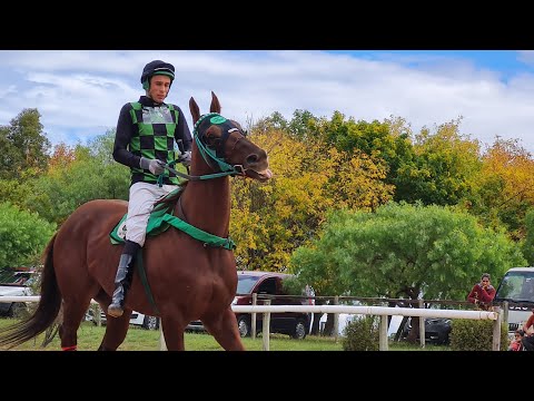 Resumen con FOTOS INEDITAS de la fiesta Haras Oasis!