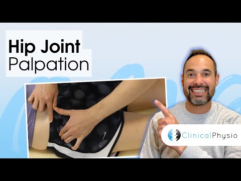 Hip Joint Palpation | Clinical Physio