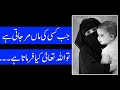 Jab Kisi Ki Maa Mar Jaati Hai Maa Ki Shan Maa Baap Haider Ahadees Mian Channu Mehrban Ali