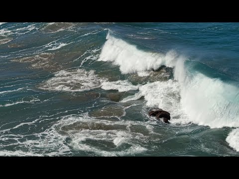 SS American Star shipwreck deterioration 2025 4K