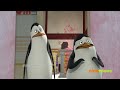 Nicktoons On Screen Credits Penguins Of Madagascar For ShowTheWorldYourStyle