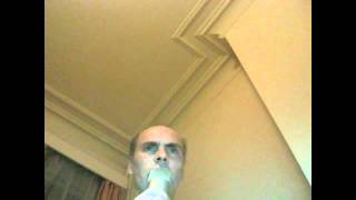 terry chante shola ama sym4ony