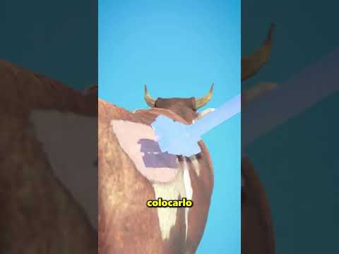 Muro De Hielo - Tatuaje