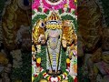 🪷🪷🪷God Murugan Whatsapp Status Song In Tamil God Murugan Im Murugan Margazhi Special Muruga