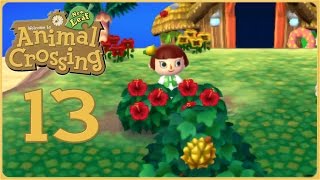 Island Adventures & Hibiscus Flowers?!? • Animal Crossing: New Leaf - Episode #13