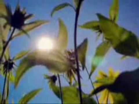 Teddy Geiger - (I'm Not) Bitter