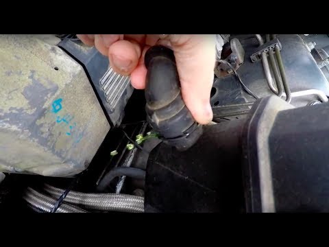 BMW 4.4l m62tu Coolant Leak Fix And Coolant Hose O-ring Replacement