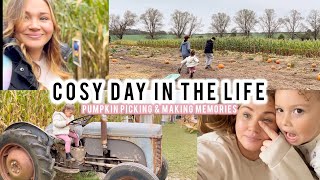 PUMPKIN PICKING | CORN MAIZE | Lichfield maize | COSY DITL | #momlife
