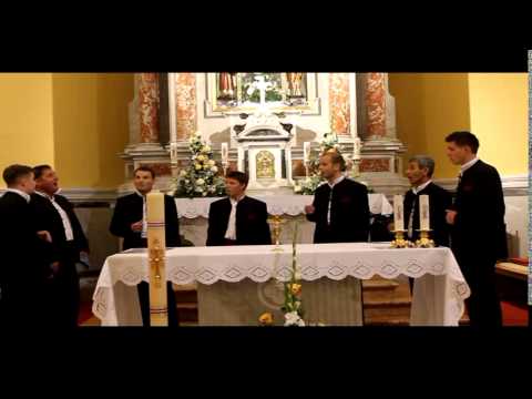 Klapa Arti -  Moja jube,lipi cvite moj