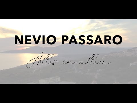 Nevio Passaro - Alles in allem (Official Music Video)