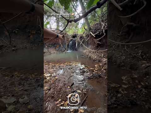 Parte 03 chácara de 5 alqueires em Itaguari Goiás 62-98500-8436 marque sua visita