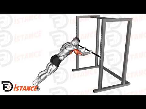 Exercice Triceps Press