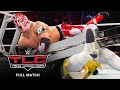 FULL MATCH - WWE Tag Team Title Triple Threat Ladder Match: WWE TLC 2015