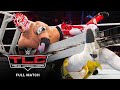 FULL MATCH WWE Tag Team Title Triple Threat Ladder Match WWE TLC 2015