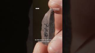 Ice Age Artefacts at the Hermitage – What They Reveal? #History #Museums #Archaeology #IceAge