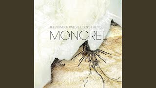 Jay Walking Backwards