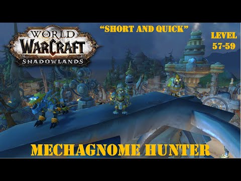 "Short and Quick"  World of Warcraft - Mechagnome Hunter - Level 57-59