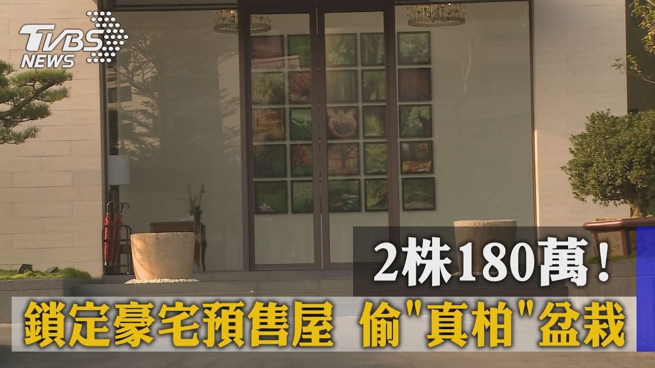2株180萬!鎖定豪宅預售屋 偷「真柏」盆栽