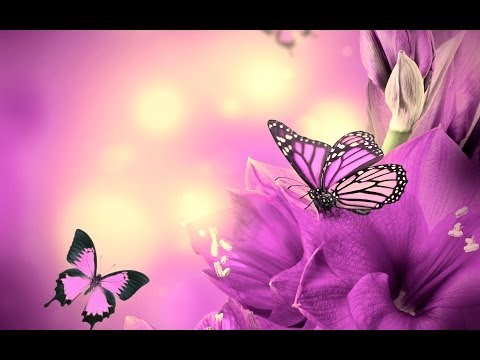 Excentr Rock - EXCENTR Rock - Hnědý oči