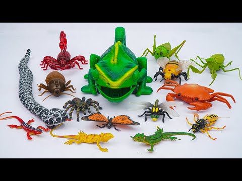 💛toy asmr💛 Infrared Control Animals RC Chameleon & Rattlesnake Toys ASMR ✨ No talking 🔇