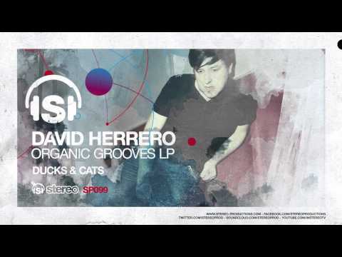 David Herrero - Ducks & Cats