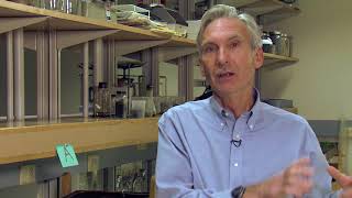 Soil Basics: Erosion