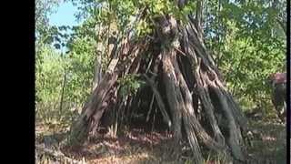 Northern California Sasquatch Stories #5