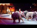 Barnum And Bailey Circus Shaolin And Elephant Act