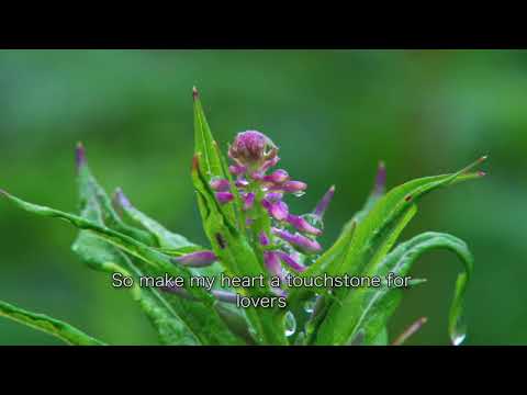 Aye Husn Ke Jadoo - Murtaza Mannan