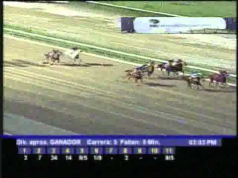 Resumen Lunes, 19 de Diciembre de 2011 - La Rinconada