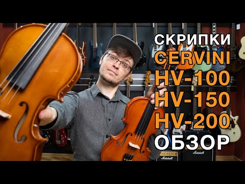 Обзор скрипок начального уровня от компании Cervini