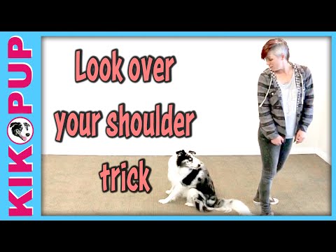 What is Clicker Training