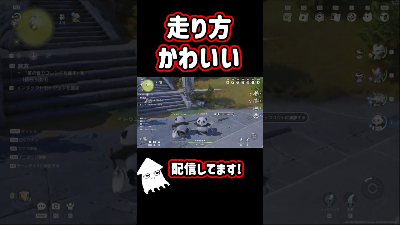 走り方かわいい！#アニモ  #aniimo #shorts