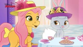 Whisker Haven Tales Full Episodes NEW Compilation | Whisker Haven Tales Disney Junior Part 1♥•✓
