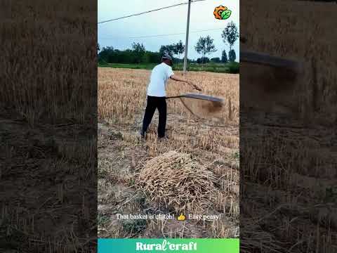 This Wheat-Catching Scythe is GENIUS! 🤯 Farm Smarter! #farminglife #wheat #harvest #invention