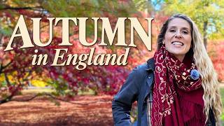 Can You Understand REAL British English? 🇬🇧 Autumn Vlog