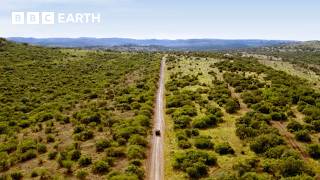 Luxury Safari Experience in South Africa | Amazing Hotels: Life Beyond the Lobby | The Travel Edit