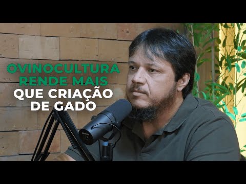 Como ganhar dinheiro com a ovinocultura?