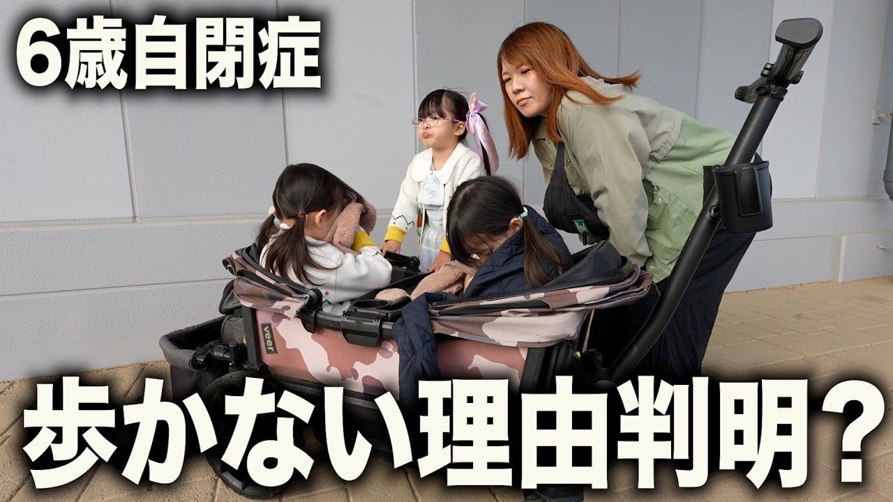 【意外すぎる】歩けるけど歩かない理由がわかりました。