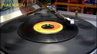 İSMİNİ HAYKIRIYORUM/ADAMO/Türkish (Söz: FECRİ EBCİOĞLU) Crier tom nom 45rpm