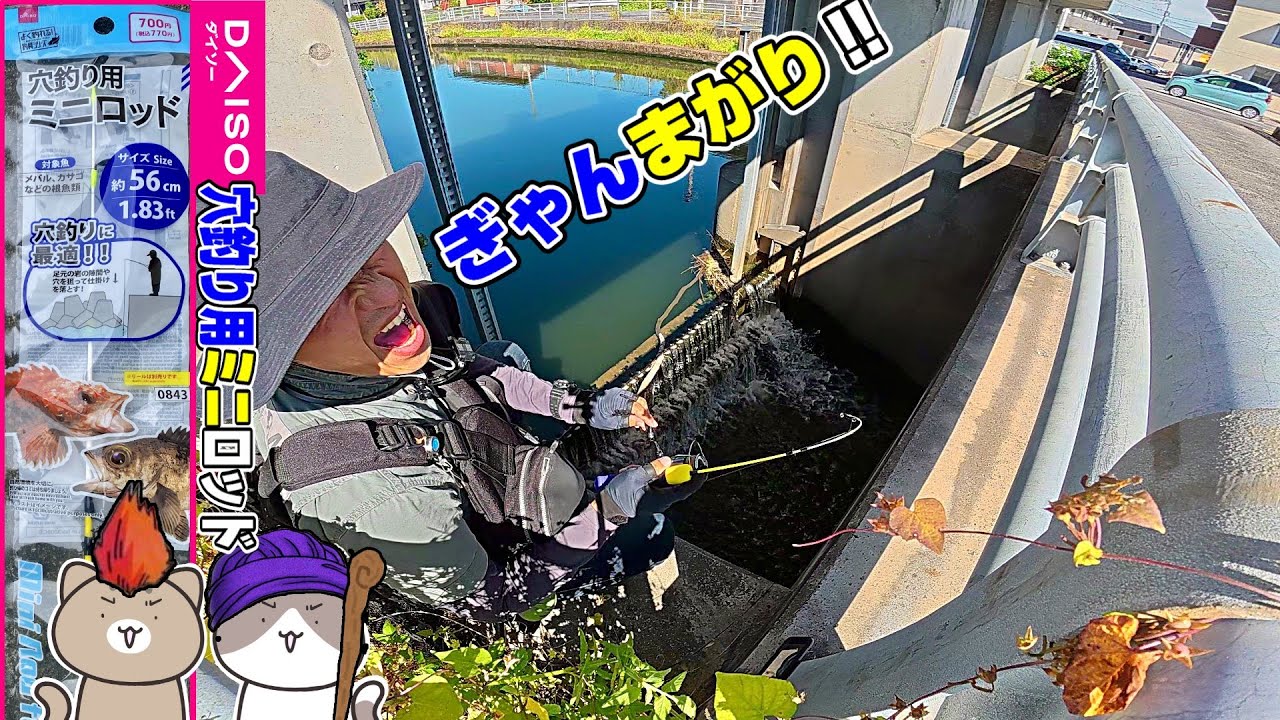 ３種の最新DAISOロッドでシーバス釣ったら衝撃の釣果に!!!!!