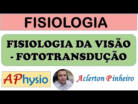 Physiology of Vision - Phototransduction