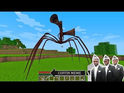 I Found Real Spider SirenHead in Minecraft - Coffin Meme