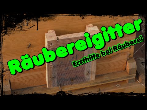 ⚔️ Robber barrier 🐝 First aid for robbery