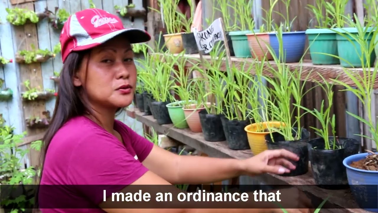 2019 Outstanding Organic Municipality: Kauswagan, Lanao Del Norte