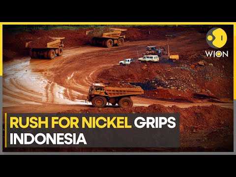 Indonesia: Farmers concerned about land use due to Nickel mining | Latest News | English News | WION