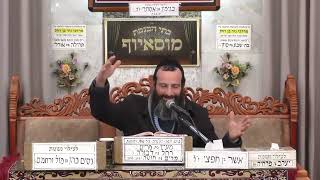 הרב אברהם זרביב   ממעלת יום ראש חודש    מוסאיוף (בית הכנסת מוסאיוף) - התמונה מוצגת ישירות מתוך אתר האינטרנט יוטיוב. זכויות היוצרים בתמונה שייכות ליוצרה. קישור קרדיט למקור התוכן נמצא בתוך דף הסרטון