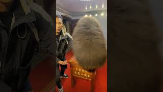 Download lagu Il mastino Tbetano, la razza piu pregiata al mondo #cina #cani #animalidomestici #mastinotibetano mp3